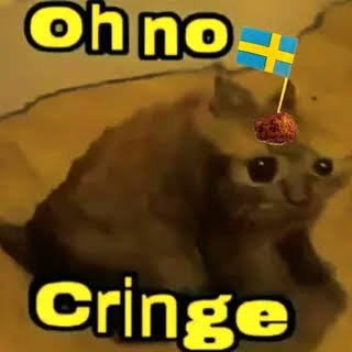 images (1).jpeg