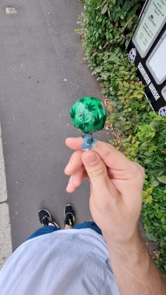 20210821_194124.jpg