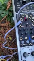 Modern Biology - Mushroom music myco transmissions #music #plants #shorts #synth #mushroom.mp4