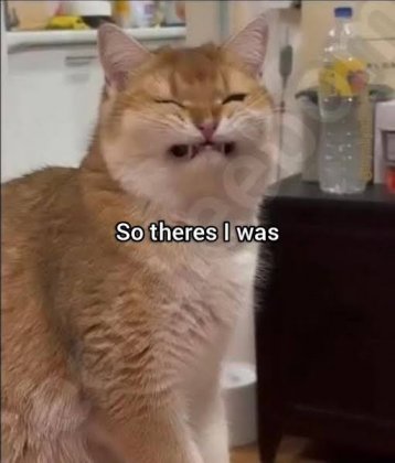 images (39).jpeg