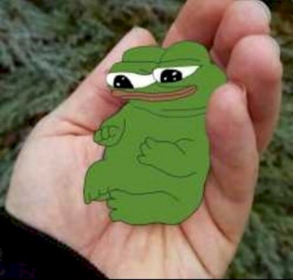 baby apu in hand.jpg