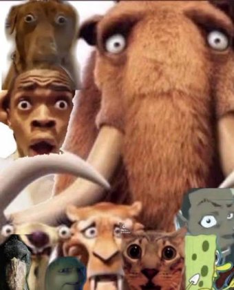 images (12).jpeg
