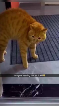 images (45).jpeg