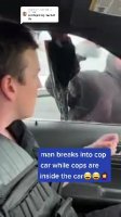 video0.mp4