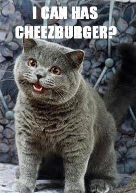 images (13).jpeg