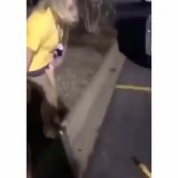d0a24ae7e4e4bcd1.mp4
