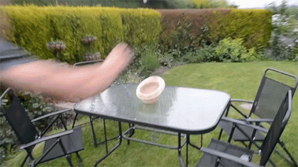 4DE00462-9797-4498-80F4-29A2E79DD93E.gif