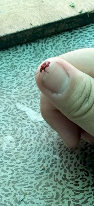 IMG_20230709_131111_738.jpg
