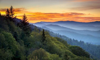 GettyImages-163642367.jpg