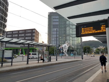 20230714_054238.jpg