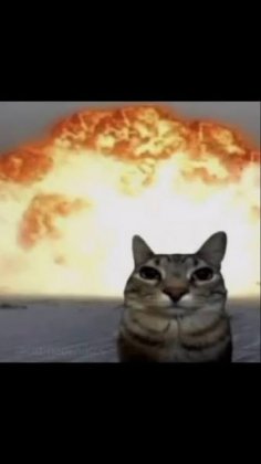images (43).jpeg