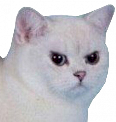 1543787701896.png