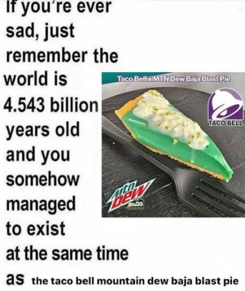 images.jpeg