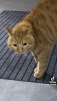 0ebd99bedf53a5626864ac7796cce4a9.mp4