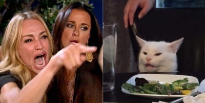 woman-yelling-at-cat-4084x2054px-v0-l6d5vsyne6a41.jpg