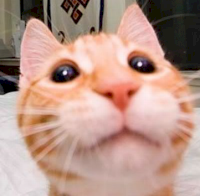 1610068983257.png