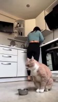 food_pls.mp4