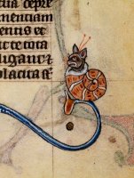 Snail Cat.jpg