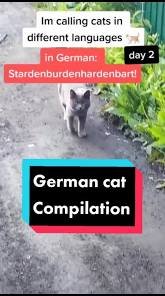 download (36).jpeg