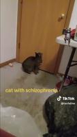 74a6a18306925327a733ae2f8bf9ec8b.mp4