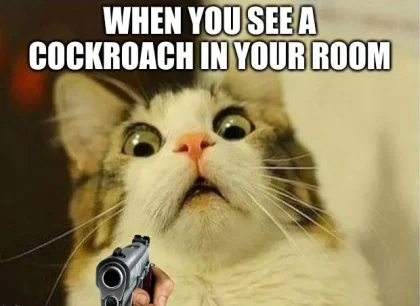 Scared-Cat.2.meme.webp