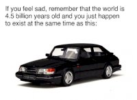 9jmhn.jpg
