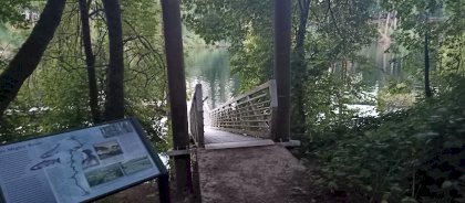 IMG_20230905_194600_031.jpg