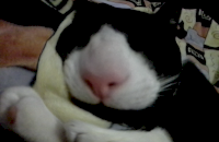 2015-01-18 16.23.14.png