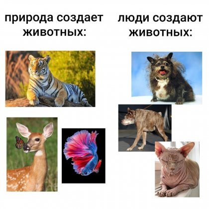 IMG_0400.jpeg