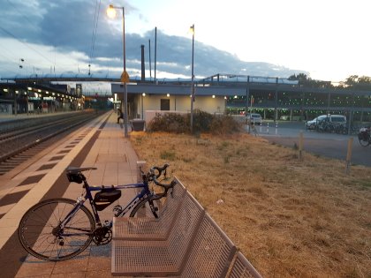 20230714_051546.jpg