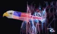 774b756c1f33ef1d1a4a09c65c05ffb2f6c86aed5a175e8322cefa8475325ce0.mp4