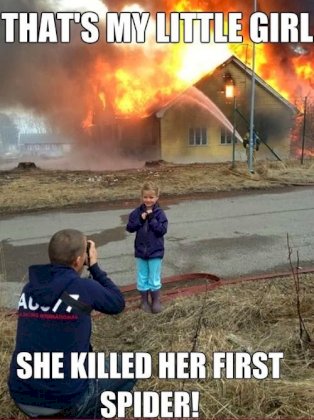 spiderkiller.jpg