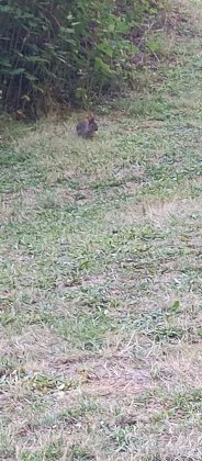 IMG_20230709_183039_951.jpg