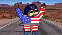 American_Bear.webm