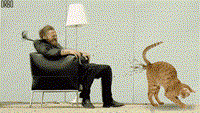 t_19ef1d69a20672f35fbb9afaca6593f51ccd61ff02bbbed329b3b6e95c31f3ec.gif