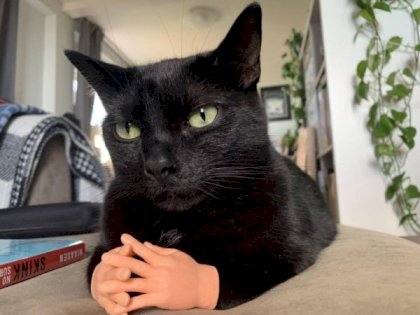 hands.jpg