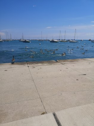 IMG_20210619_123636_3.jpg