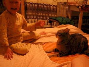 katze_gegen_kind 2.gif