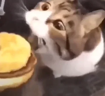 Cheeseburger.webp