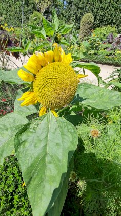 20210719_133441.jpg