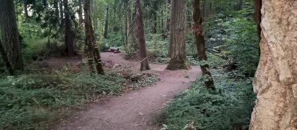 IMG_20230905_193848_509.jpg