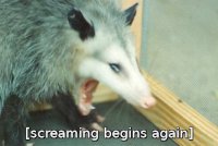poss_screaming_again.jpg