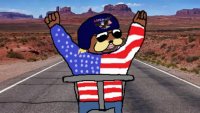 ameribear.webm