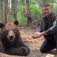 bearwont eat burger.mp4