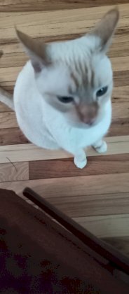 IMG_20240117_141633_607.jpg