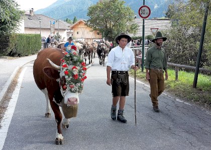 1280px-Transumanza_a_Dobbiaco_2017_-_06.jpg