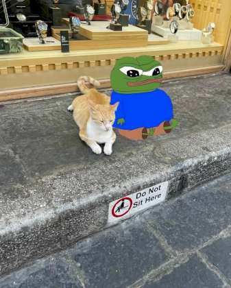 apu and cat sit.jpg