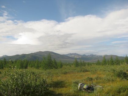 w_4a026969.jpg