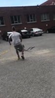 7d60930617bcb550.mp4