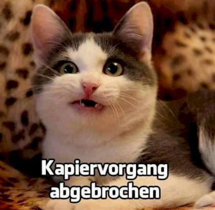 kapiervorgang.jpg